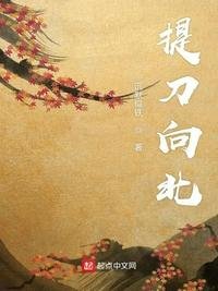 《提刀向北》