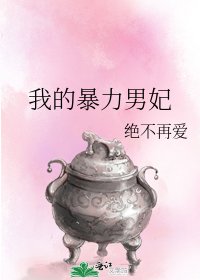 《我的暴力男妃》