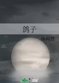 鴿子