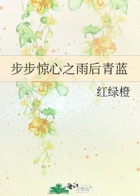 《步步驚心之雨後青藍》