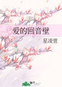 《愛的迴音壁》