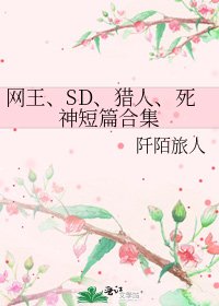 网王、SD、猎人、肆神短篇贺集