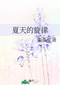 《夏天的旋律》