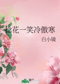 捻花一笑冷傲寒