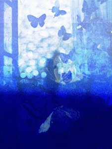 《上校他步入蝴蝶陷阱》