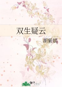 《雙生疑雲》