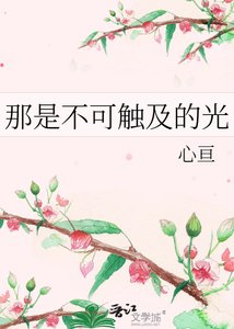 《那是不可触及的光》