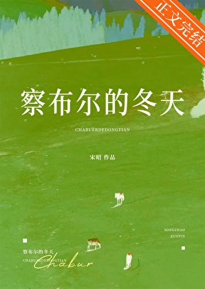 察布尔的冬天